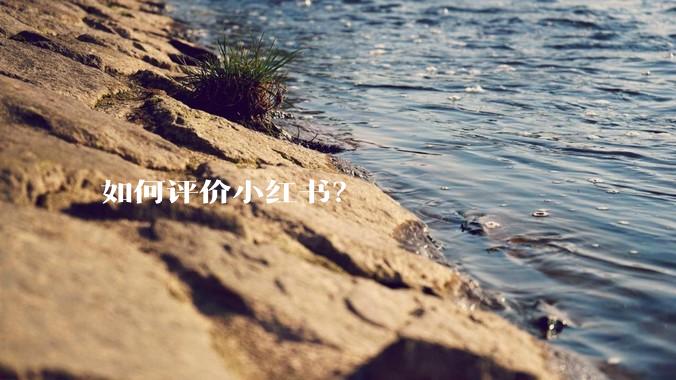 如何评价小红书？