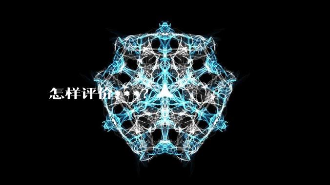 怎样评价***？