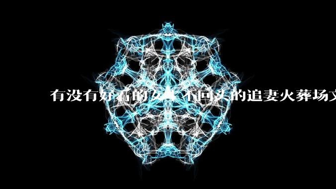 有没有好看的女主不回头的追妻火葬场文？
