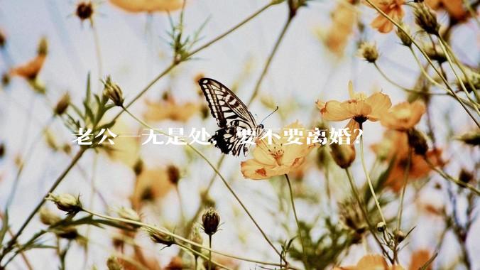 老公一无是处，要不要离婚？