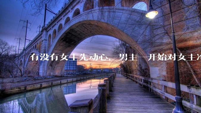 有没有女主先动心，男主一开始对女主冷淡，后来追妻火葬场的文？
