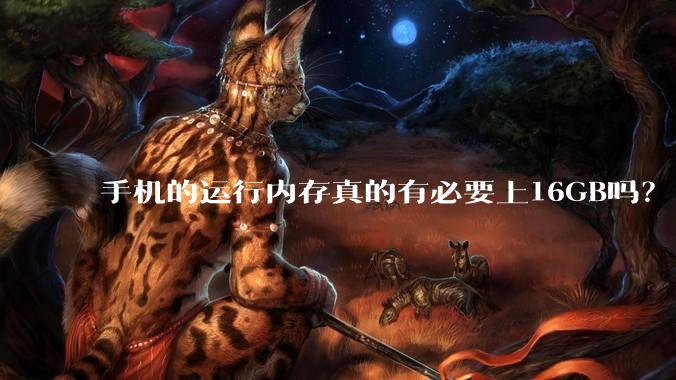 手机的运行内存真的有必要上16GB吗？