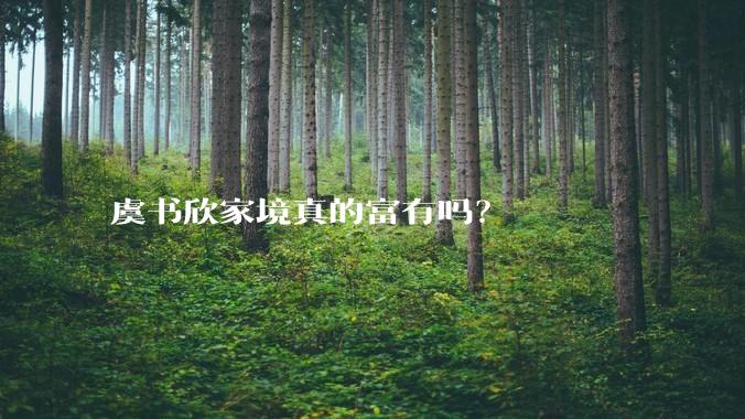 虞书欣家境真的富有吗？