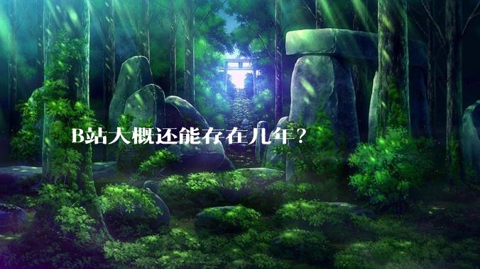 B站大概还能存在几年？