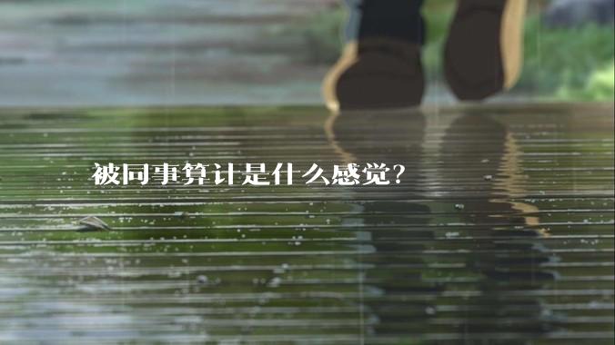 被同事算计是什么感觉？