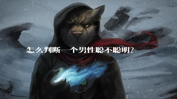 怎么判断一个男性聪不聪明？